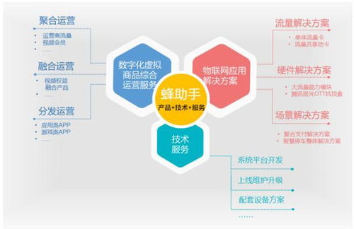 蜂助手沖刺上市 上半年收入達(dá)2.11億元，物聯(lián)網(wǎng)技術(shù)服務(wù)驅(qū)動增長